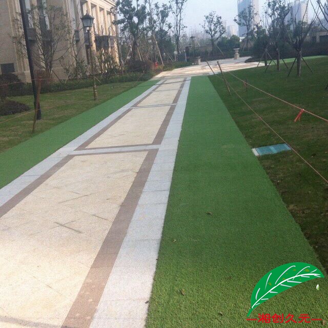 小区绿化草封面图