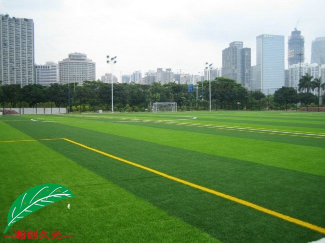足球草封面图