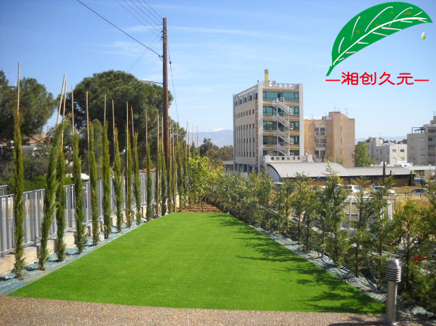 景观草封面图