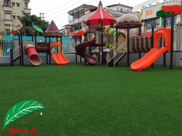 幼儿园专用草封面图