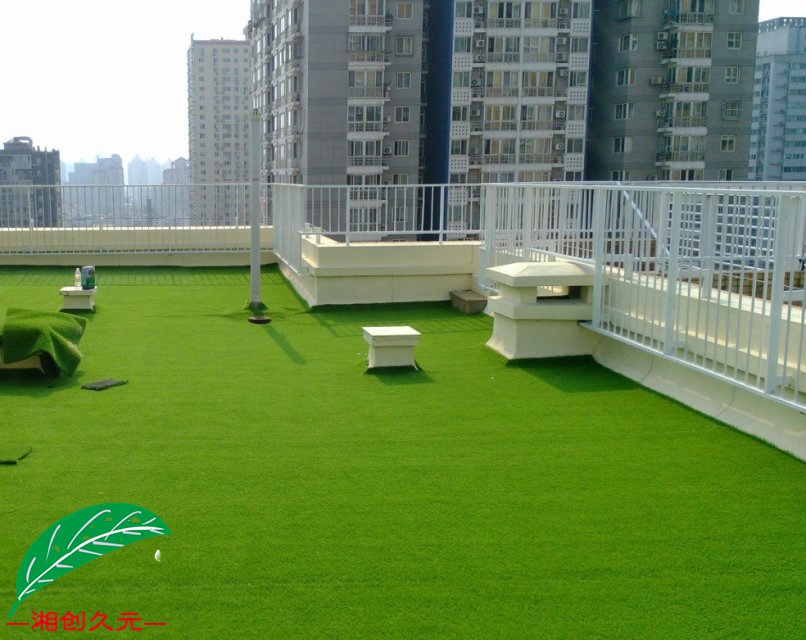 屋顶休闲草封面图