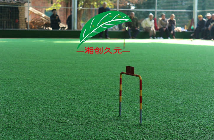 门球场封面图