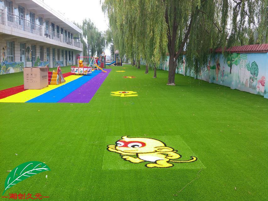 幼儿园专用草封面图