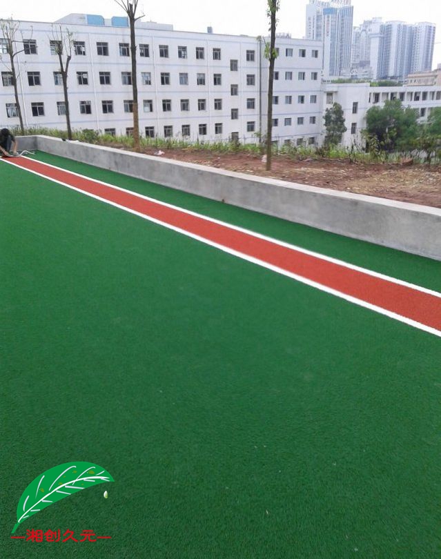 门球草封面图